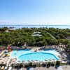 Ampia piscina circondata da lettini, con vista su palme e mare in lontananza.