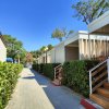 Viale ombreggiato con bungalow fiancheggiati da siepi.
