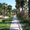 Sentiero tra palme e piante fiorite in un parco giochi.