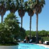 Piscina circondata da palme e arredamenti esterni.