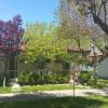 Casetta con alberi verdi e giardino.