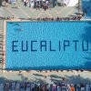 Piscina grande con la scritta 