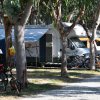 Camper parcheggiati tra alberi in un campeggio, con biciclette vicine.