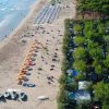 Spiaggia vista dall'alto con file di ombrelloni e pini sul retro.